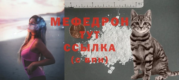 mdpv Бородино