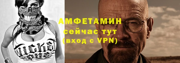 mdpv Бородино