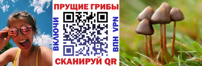 Галлюциногенные грибы мухоморы  Купить закладки  Карасук 